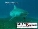 SharkKnights Lecture Discription
